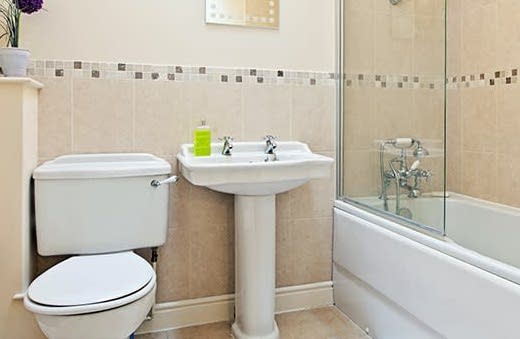 bathroom-cleaning3
